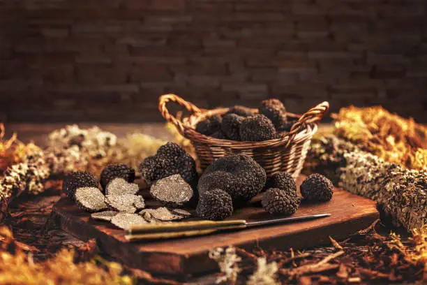 Market basket full of rare and expensive black truffle mushrooms