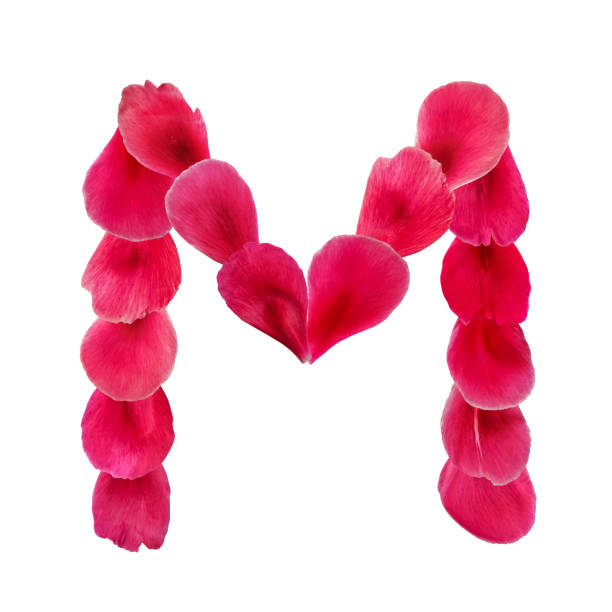 abstract natural letter m made from pink flower petals - letter m alphabet color image flower imagens e fotografias de stock