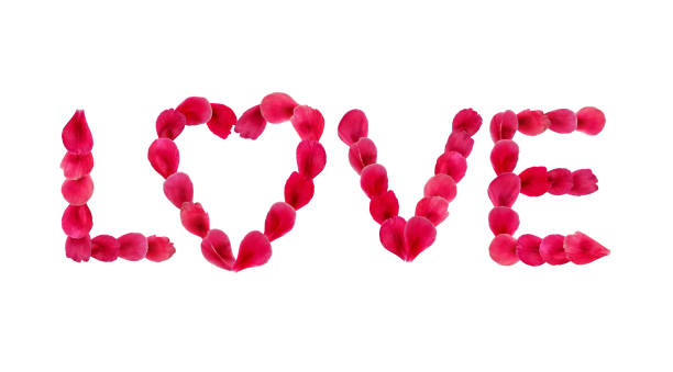 istock Word Love made from deep pink flower petals, isolated on white background 1280106036