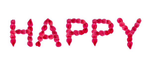 istock Word Happy made from deep pink flower petals, isolated on white background 1280106040