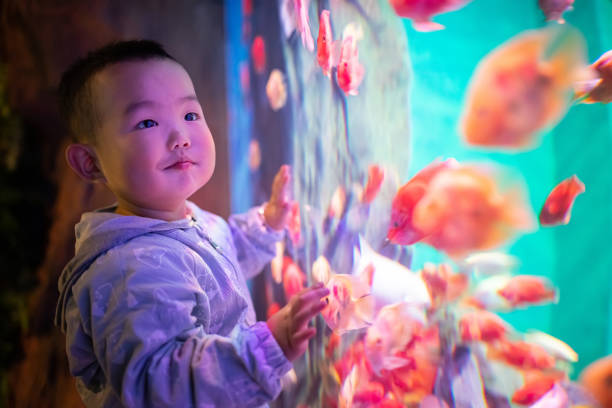 istock Little boy looking fish in the aquarium 1280106694