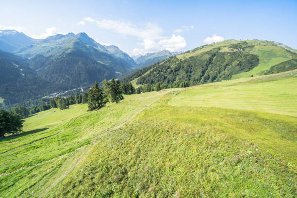 istock Idyllic summer landscape in the Alps 1280108682
