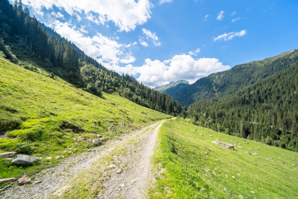 trilha de caminhada nos alpes - mountain austria street footpath - fotografias e filmes do acervo