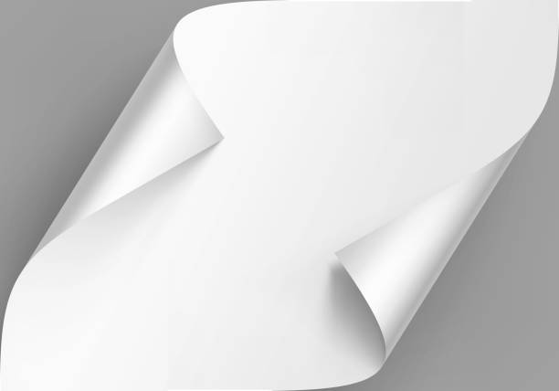 istock Vector Curled Corners of White Paper with Shadow Mock up Close up Isolated on Gray Background 1280109062