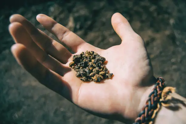 Close-up of some volcanic soil held by a human hand with a bracelet