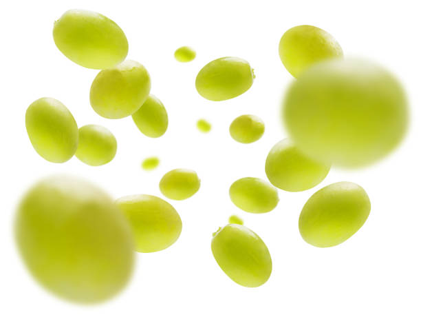 Green grapes levitate on a white background.