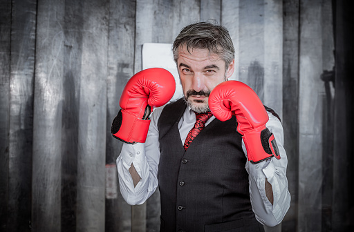 Portrait businessman wearing suite with fighting gloves posing to show combat with competitor in business for successful in purpose