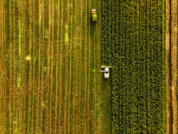 istock Combine harvesting a corn field. Aerial view 1280119678