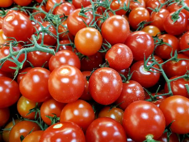 istock Close up of tomatoes 1280123191