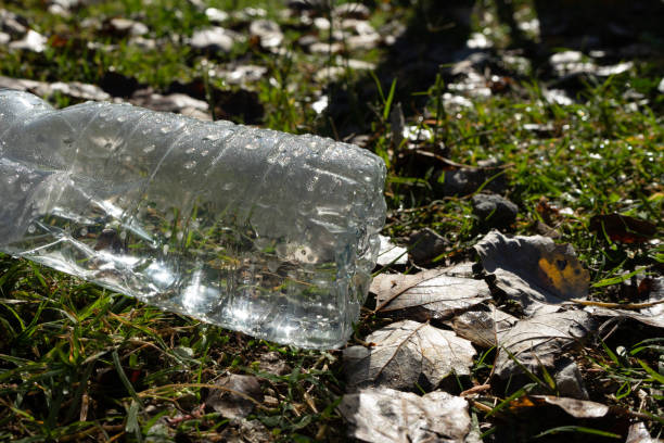 istock The human being and pollution in the environment 1280123257