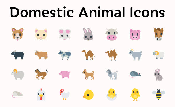 ilustrações, clipart, desenhos animados e ícones de emojis de ilustração vetorial de animais domésticos, conjunto de ícones. coleção de símbolos planos de animais – vetor - farm animal cartoon cow