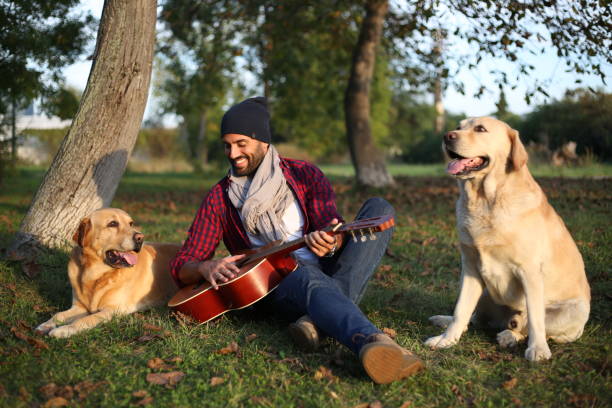 a smiling man playing guitar to dogs in the park on a warm autumn day at sunset - day to sunset imagens e fotografias de stock