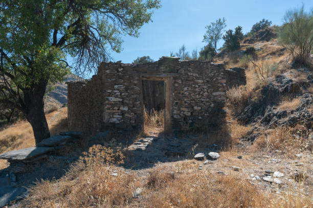 istock Old ruined house next to a tree 1280127920