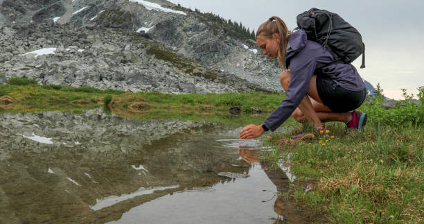 istock Female hiker walks through alpine meadow beneath mountains 1280129585