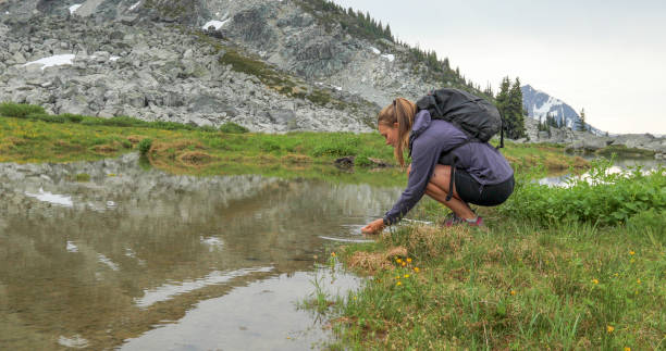 istock Female hiker walks through alpine meadow beneath mountains 1280129628