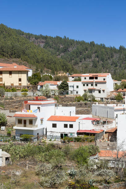 Houses in Tenerife village, Canary Islands Tenerife, Spain - March 15, 2015. Houses in a rural village in Tenerife, Canary Islands village vilaflor on tenerife stock pictures, royalty-free photos & images