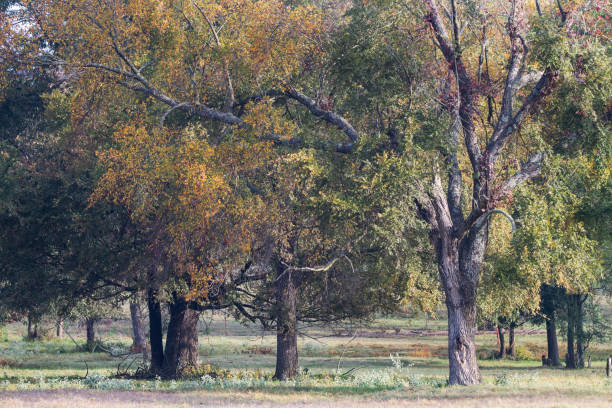 istock Autumn in the country 1280131505