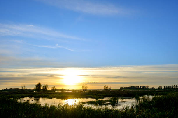Summer sunset over a marshland during a beautiful evening in September at the Reevediep near Kampen in Overijssel, The Netherlands.