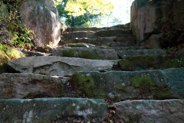 istock Stone stairs showing weeds and old moss 1280134559
