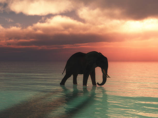 istock 3D elephant walking in the ocean against a sunset sky 1280135370
