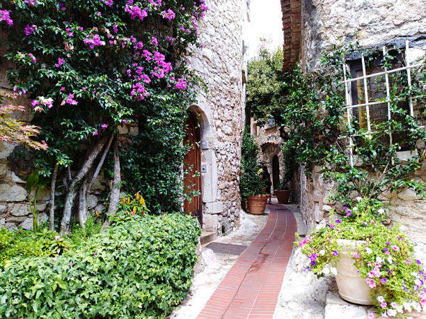 istock Potted plants on footpath against building 1280136691