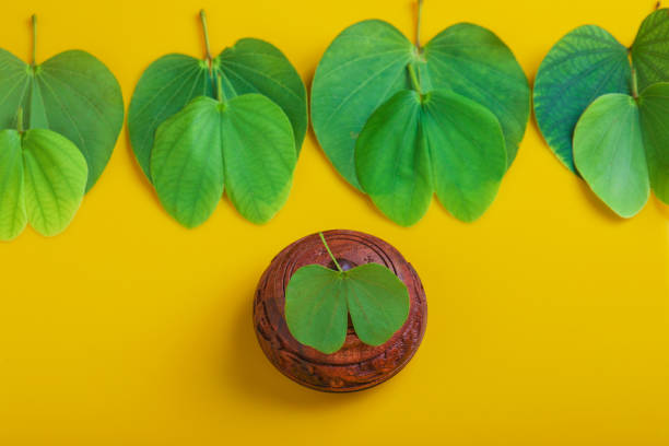 istock Indian Festival Dussehra , green leaf and rice 1280140127