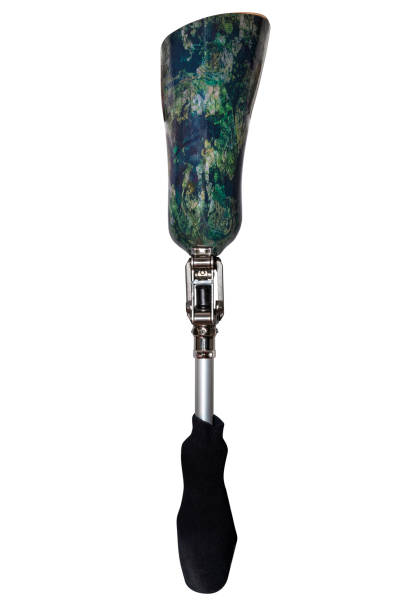 istock A prosthetic leg with a green leg socket and a black sock, isolated on a white background with a clipping path, rear view of the foot. 1280140563