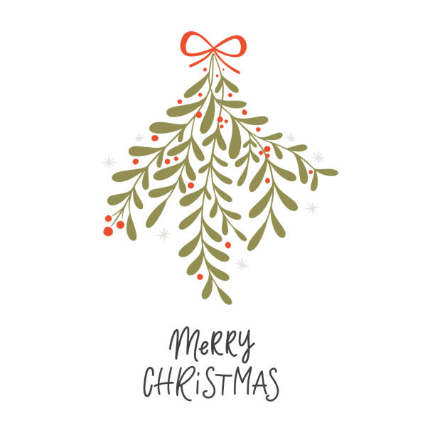 illustrazioni stock, clip art, cartoni animati e icone di tendenza di vischio vettoriale di origine vegetale natalizia disegnato a mano - vischio