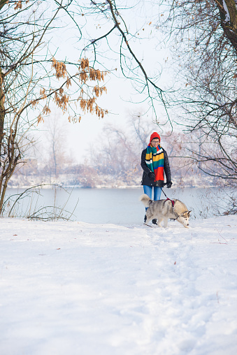 A young woman walking her Siberian husky dog in the winter snow.