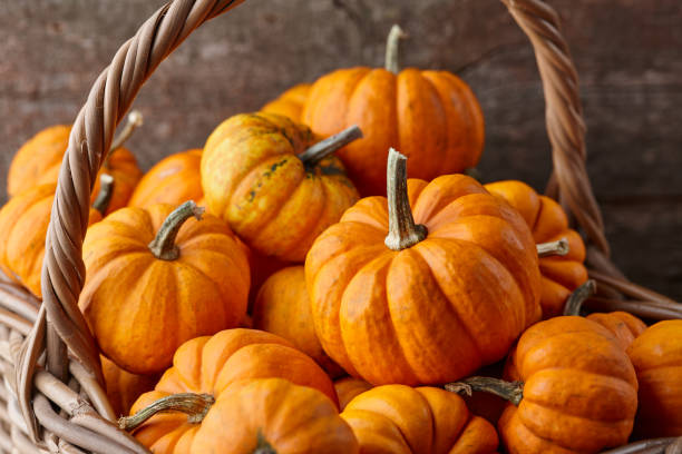istock Beautiful orange mini pumpkins in basket 1280147422