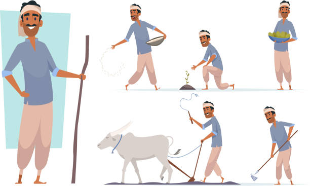 인도 농부. 방글라데시 사람들 벡터를 수확하는 소와 함께 일하는 인도 마을 응원 캐릭터 - agriculture farm people plow stock illustrations