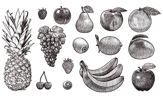 Old style illustration of fruits. There is pineapple, raspberry, plum, pear, peach, orange, grapes, kiwi, lemon, mango, strawberry, bananas, cherries, bilberry, and apple.