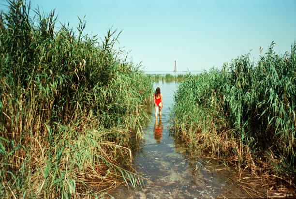 Young Caucasian woman swimming in river in summer. Camera film