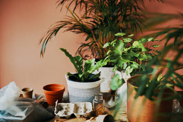 istock Be-leaf in the beauty of nature 1280154259