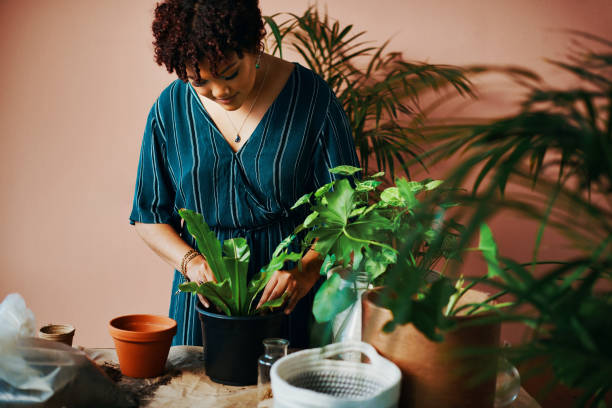 istock Every plant is perfect in its own way 1280154293