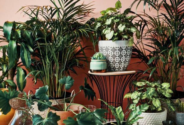 istock Plants are nature's poetry 1280154299