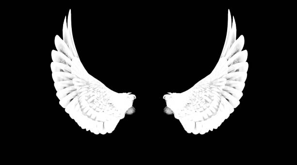 istock White pinion on the sprawling black background 1280158136