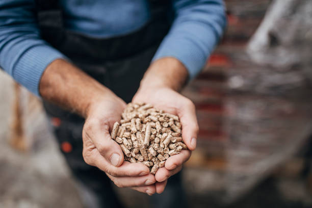 pellets de madera para calefacción - gránulo fotografías e imágenes de stock