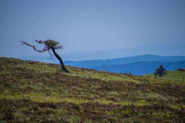 istock region of forez 1280161217