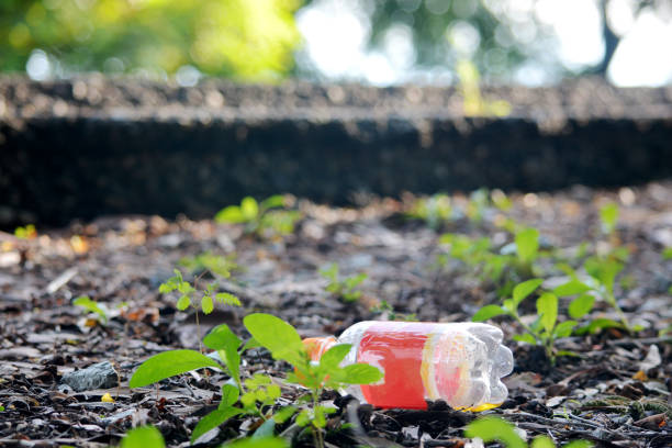 istock a plastic bottle lies on grass in nature like garbage 1280161840