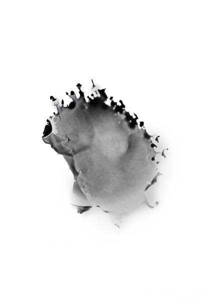 istock Abstract ink background. watercolor ink drops on white paper. black circle organic flow expanding alcohol ink technique . Marble style. Black paint stroke texture  Macro image 1280165581