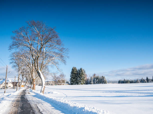 istock Winter in the Ore Mountains 1280167556