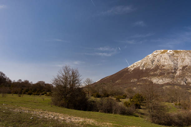 istock Abruzzo National Park Mountains, Lazio and Molise 1280170967