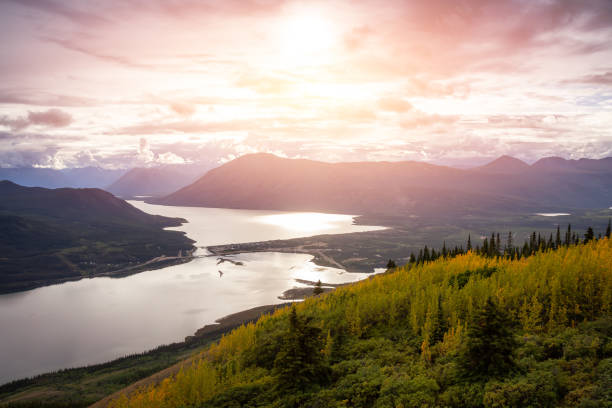 naturaleza en yukon, canadá - yukon fotografías e imágenes de stock