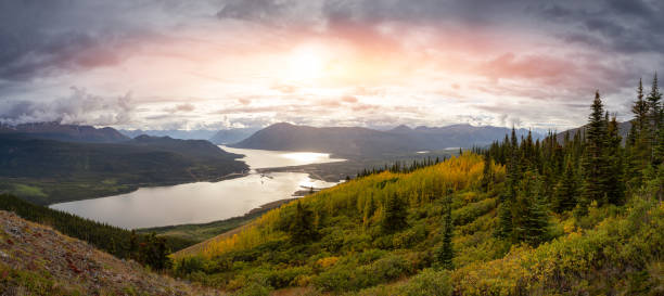 istock Nature in Yukon, Canada 1280171135