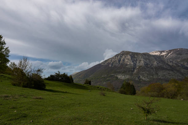 istock Abruzzo National Park Mountains, Lazio and Molise 1280171155