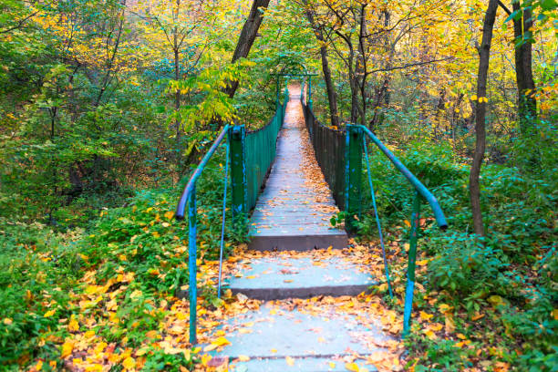 istock Footbridge in the autumn park 1280175129