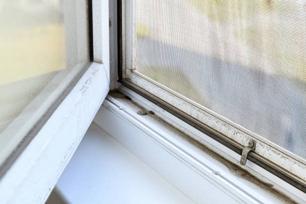 istock Dirt in open window with mosquito net need to clean.Dirty white plastic window and mosquito net. 1280176091