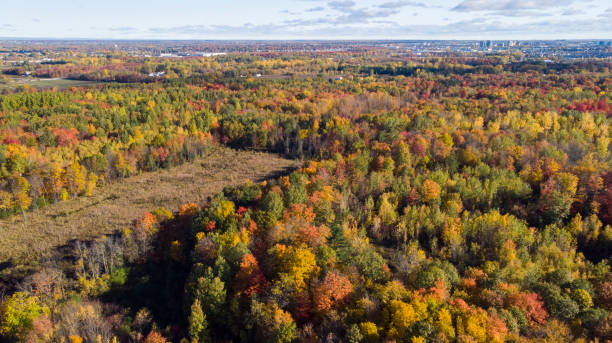 istock Titre Canadian autumn, aerial view 1280176351