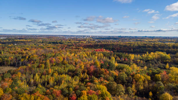 istock Titre Canadian autumn, aerial view 1280176375